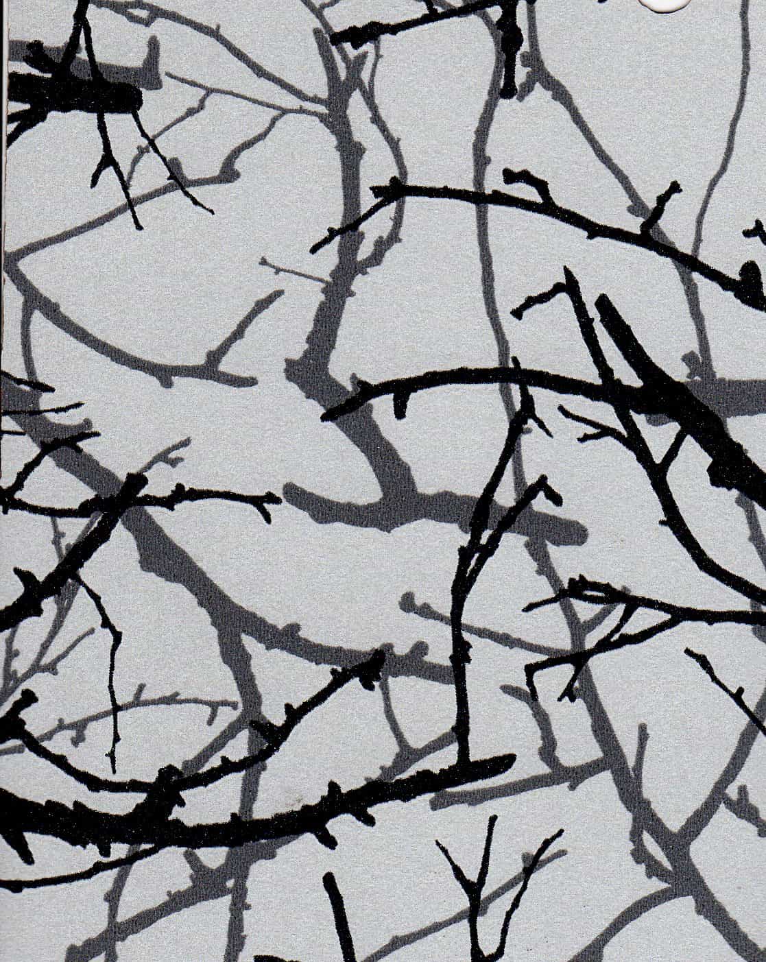 105_winter_branches